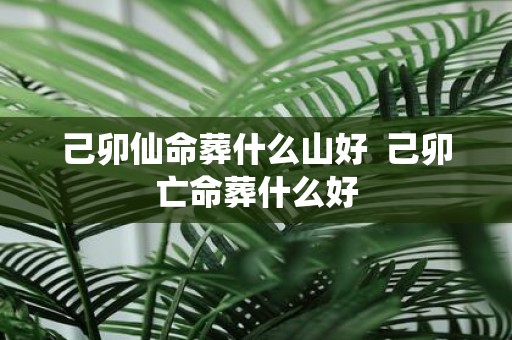己卯仙命葬什么山好 己卯亡命葬什么好