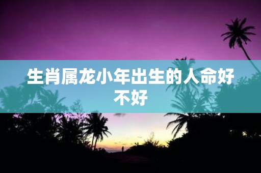 生肖属龙小年出生的人命好不好