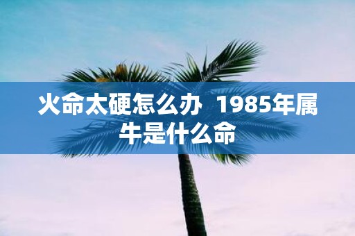火命太硬怎么办 1985年属牛是什么命