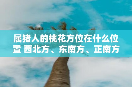 属猪人的桃花方位在什么位置 西北方、东南方、正南方