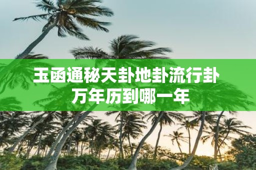 玉函通秘天卦地卦流行卦 万年历到哪一年