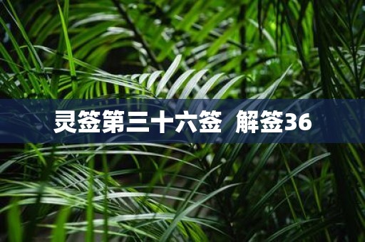 灵签第三十六签 解签36