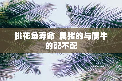 桃花鱼寿命 属猪的与属牛的配不配