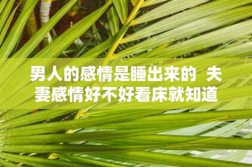男人的感情是睡出来的 夫妻感情好不好看床就知道