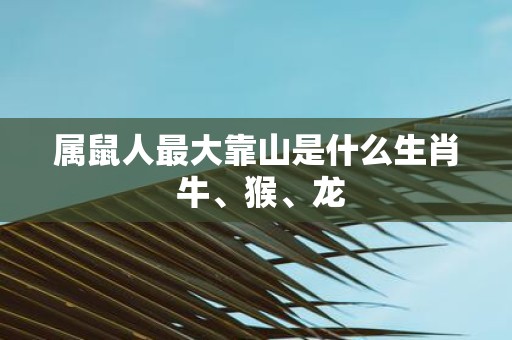 属鼠人最大靠山是什么生肖 牛、猴、龙