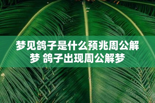 梦见鸽子是什么预兆周公解梦 鸽子出现周公解梦