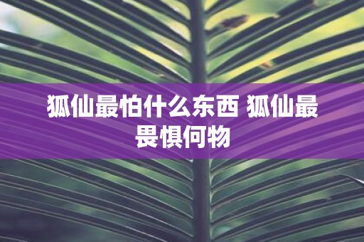 狐仙最怕什么东西 狐仙最畏惧何物