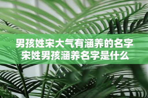 男孩姓宋大气有涵养的名字 宋姓男孩涵养名字是什么