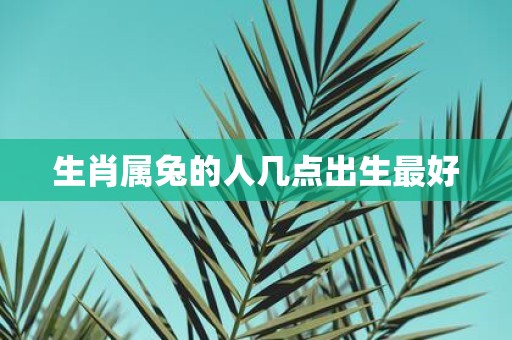 生肖属兔的人几点出生最好
