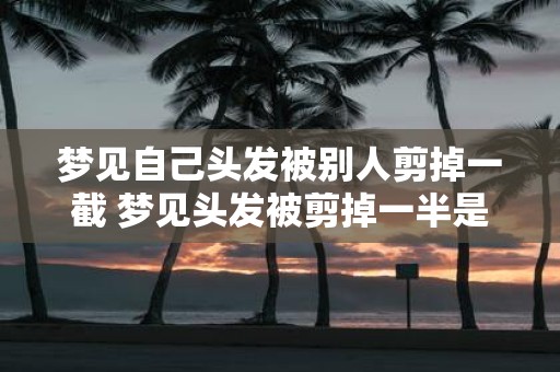 梦见自己头发被别人剪掉一截 梦见头发被剪掉一半是什么意思