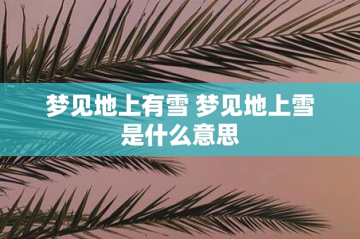 梦见地上有雪 梦见地上雪是什么意思