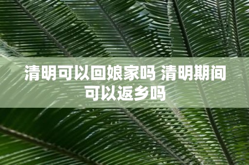清明可以回娘家吗 清明期间可以返乡吗