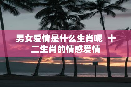 男女爱情是什么生肖呢 十二生肖的情感爱情