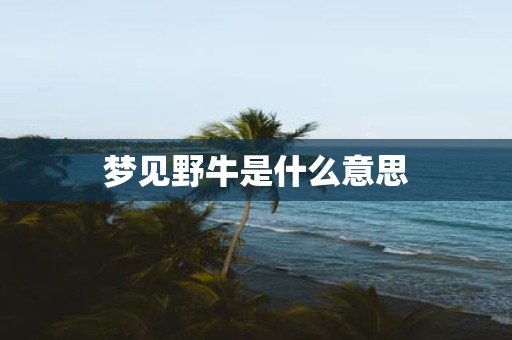 梦见野牛是什么意思