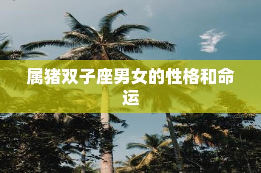 属猪双子座男女的性格和命运
