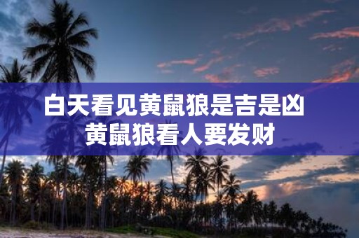 白天看见黄鼠狼是吉是凶 黄鼠狼看人要发财