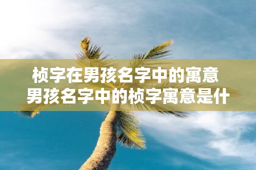 桢字在男孩名字中的寓意 男孩名字中的桢字寓意是什么