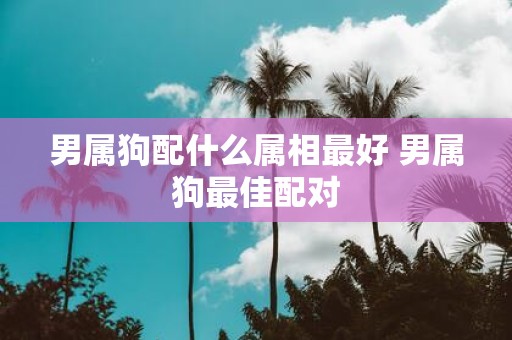 男属狗配什么属相最好 男属狗最佳配对