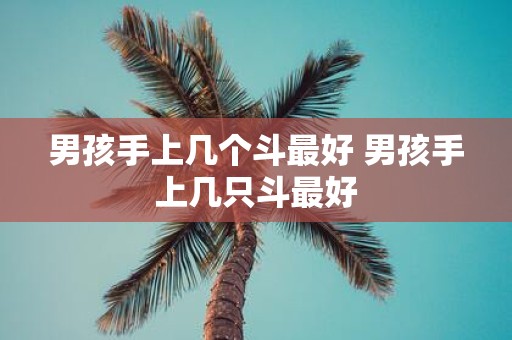 男孩手上几个斗最好 男孩手上几只斗最好