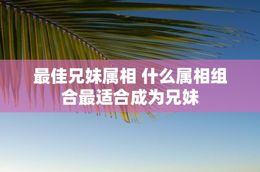 最佳兄妹属相 什么属相组合最适合成为兄妹