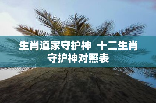 生肖道家守护神 十二生肖守护神对照表