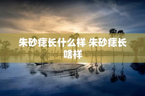 朱砂痣长什么样 朱砂痣长啥样