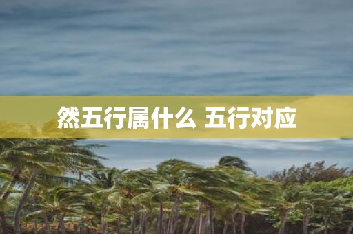 然五行属什么 五行对应