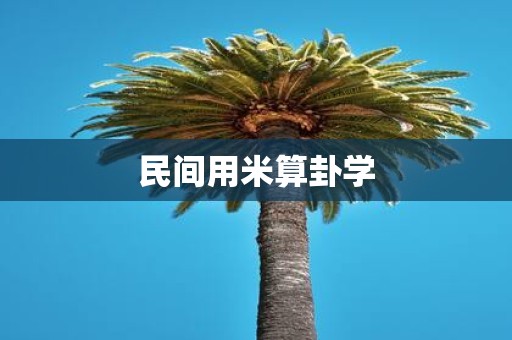 民间用米算卦学