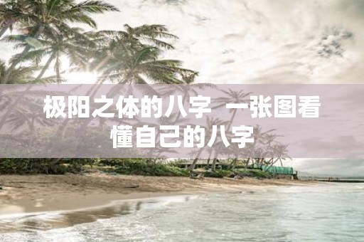 极阳之体的八字 一张图看懂自己的八字