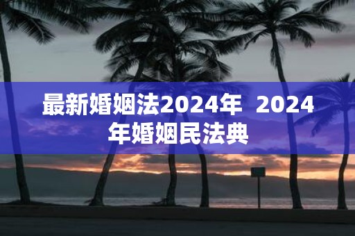 最新婚姻法2025年 2025年婚姻民法典