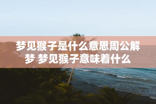 梦见猴子是什么意思周公解梦 梦见猴子意味着什么