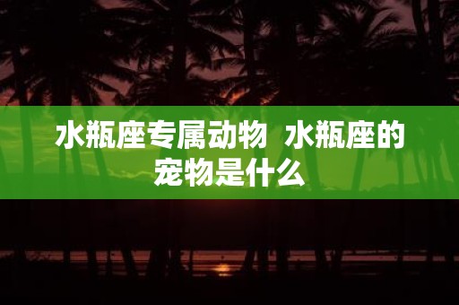 水瓶座专属动物 水瓶座的宠物是什么