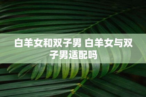 白羊女和双子男 白羊女与双子男适配吗