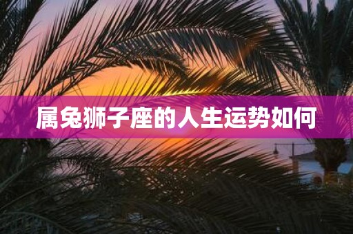 属兔狮子座的人生运势如何