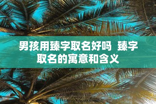 男孩用臻字取名好吗 臻字取名的寓意和含义