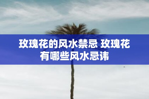 玫瑰花的风水禁忌 玫瑰花有哪些风水忌讳