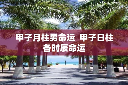 甲子月柱男命运 甲子日柱各时辰命运