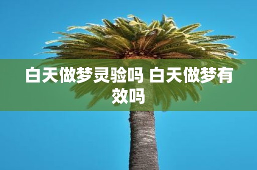 白天做梦灵验吗 白天做梦有效吗