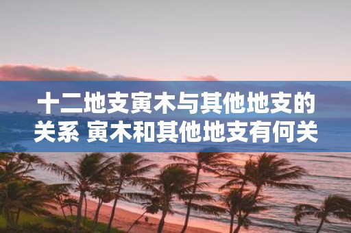 十二地支寅木与其他地支的关系 寅木和其他地支有何关系