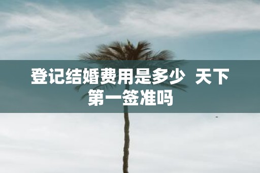 登记结婚费用是多少 天下第一签准吗