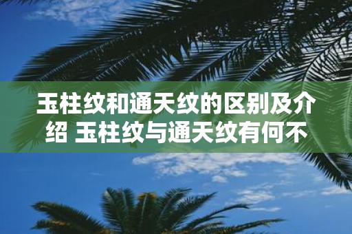 玉柱纹和通天纹的区别及介绍 玉柱纹与通天纹有何不同
