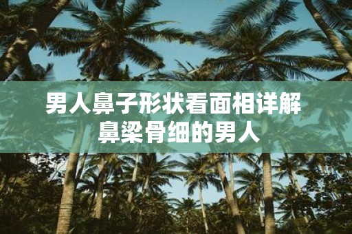男人鼻子形状看面相详解 鼻梁骨细的男人
