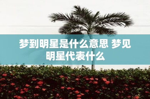 梦到明星是什么意思 梦见明星代表什么