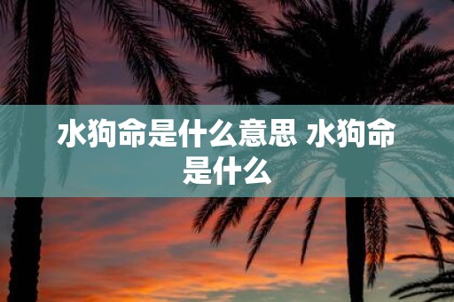 水狗命是什么意思 水狗命是什么