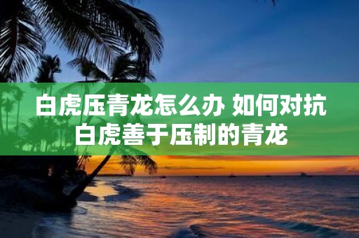 白虎压青龙怎么办 如何对抗白虎善于压制的青龙