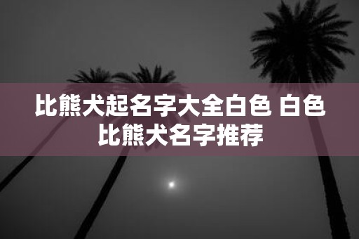 比熊犬起名字大全白色 白色比熊犬名字推荐
