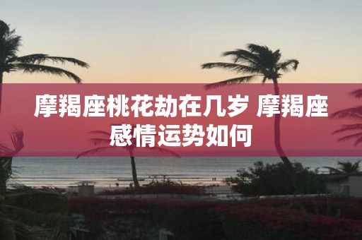 摩羯座桃花劫在几岁 摩羯座感情运势如何