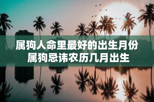 属狗人命里最好的出生月份 属狗忌讳农历几月出生