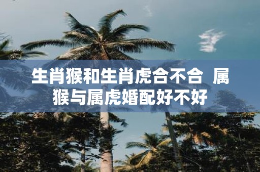 生肖猴和生肖虎合不合 属猴与属虎婚配好不好