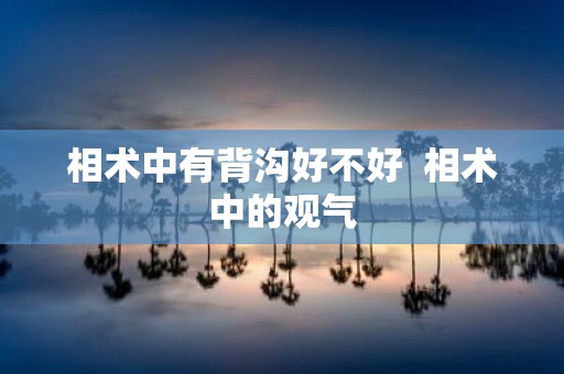 相术中有背沟好不好 相术中的观气